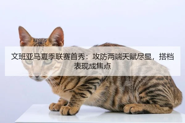 文班亚马夏季联赛首秀：攻防两端天赋尽显，搭档表现成焦点