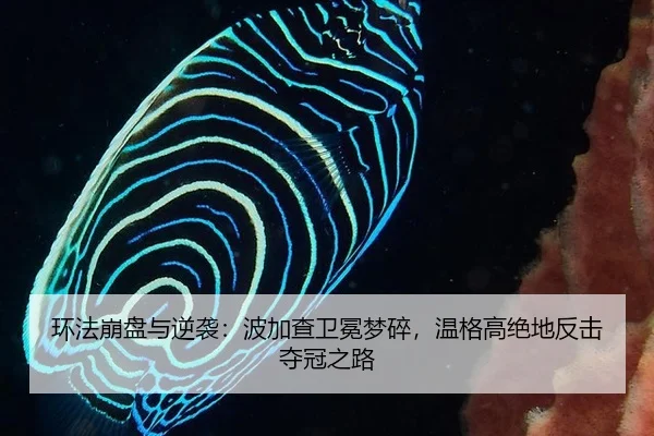 环法崩盘与逆袭：波加查卫冕梦碎，温格高绝地反击夺冠之路