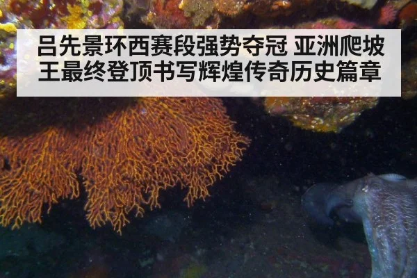 吕先景环西赛段强势夺冠 亚洲爬坡王最终登顶书写辉煌传奇历史篇章